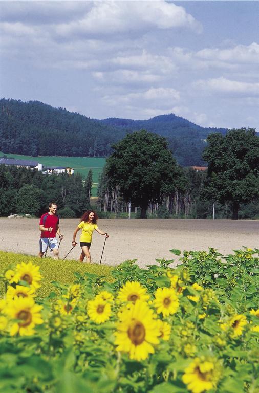 Hotel Hubertus Freistadt Luaran gambar
